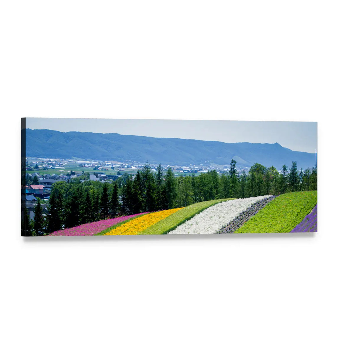 Lavender Garden in Japan Panoramic Canvas Wall Art, single panel gallery wrapped canvas, angled product view