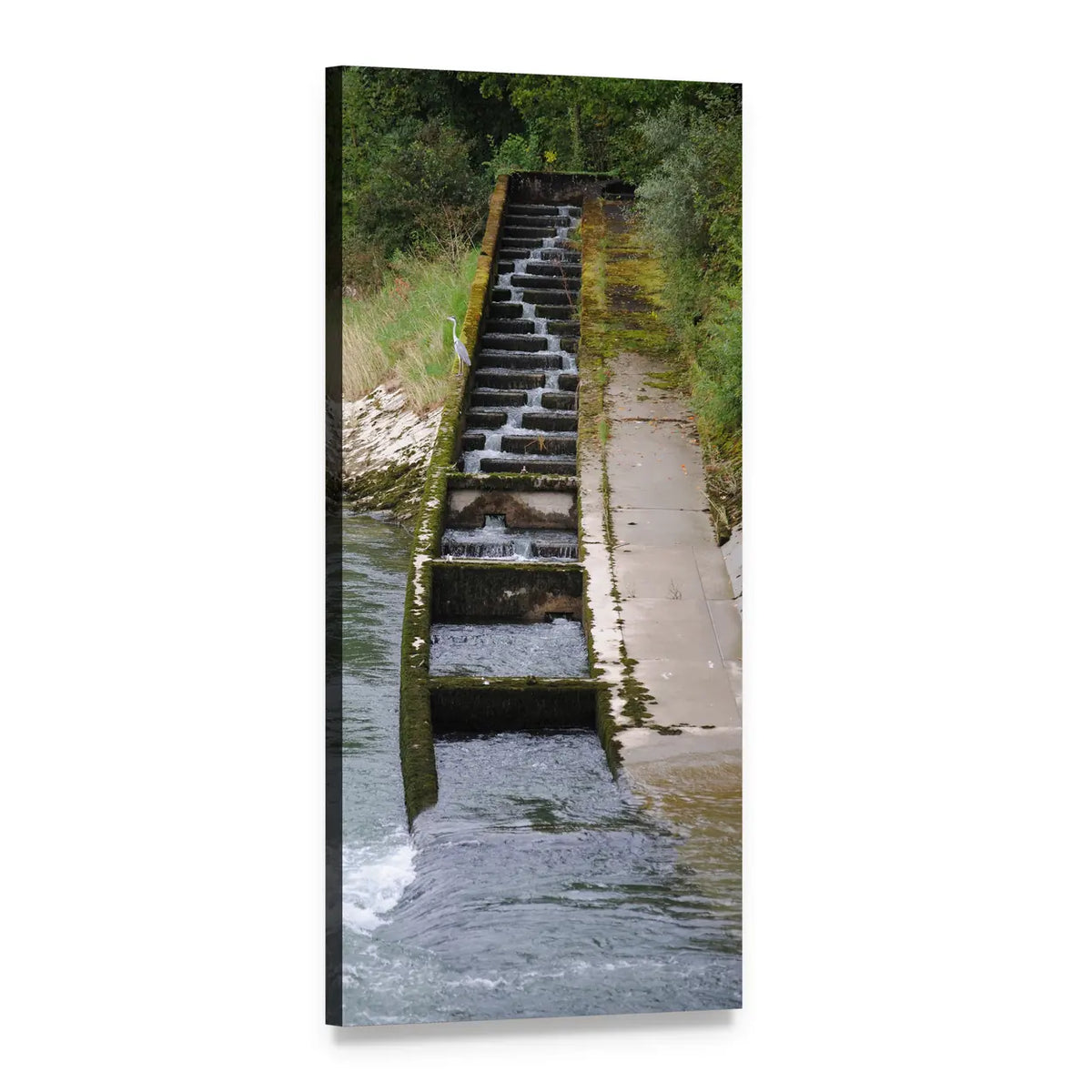 Fish Ladder at River Pass, Switzerland Vertical Canvas Wall Art, 1 panel 1 Vertical layout gallery wrapped canvas set, angled product view