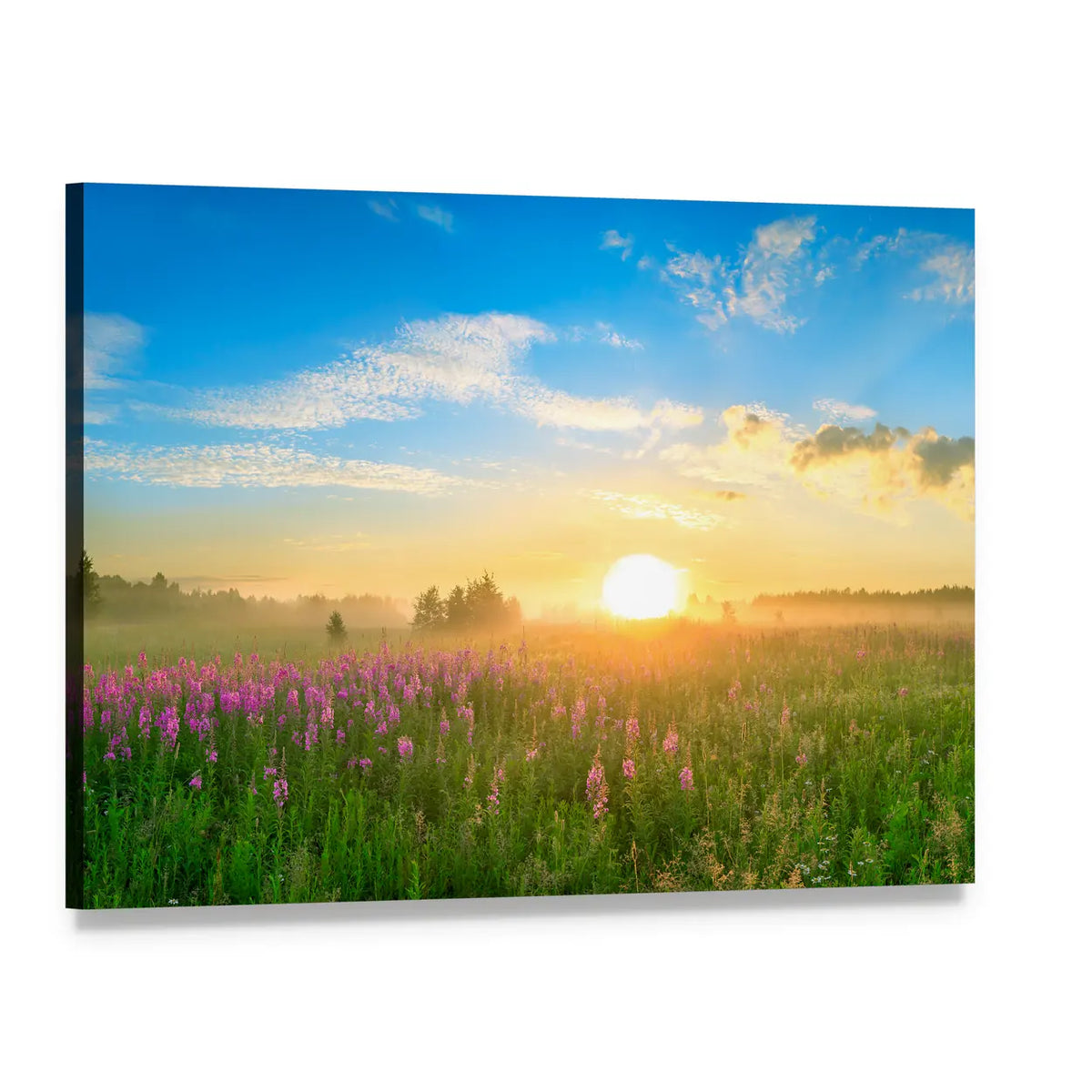 Sunrise Over Blossoming Meadow Canvas Wall Art, single panel gallery wrapped canvas, angled product view