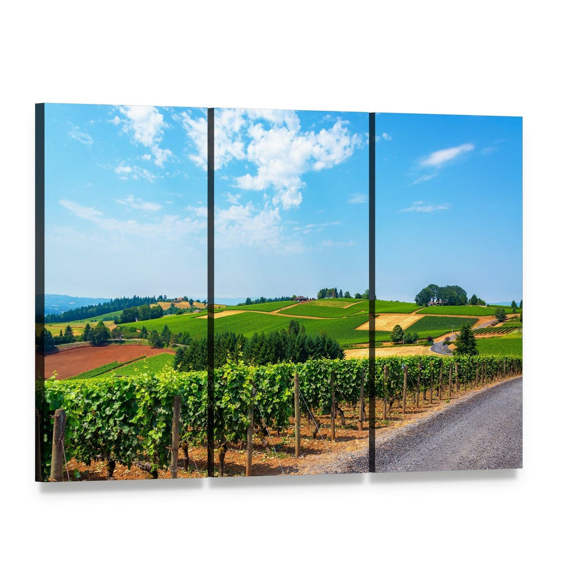Rolling Vineyard Hills Canvas Wall Art, 3 panel 3 Horizontal layout gallery wrapped canvas set, angled product view