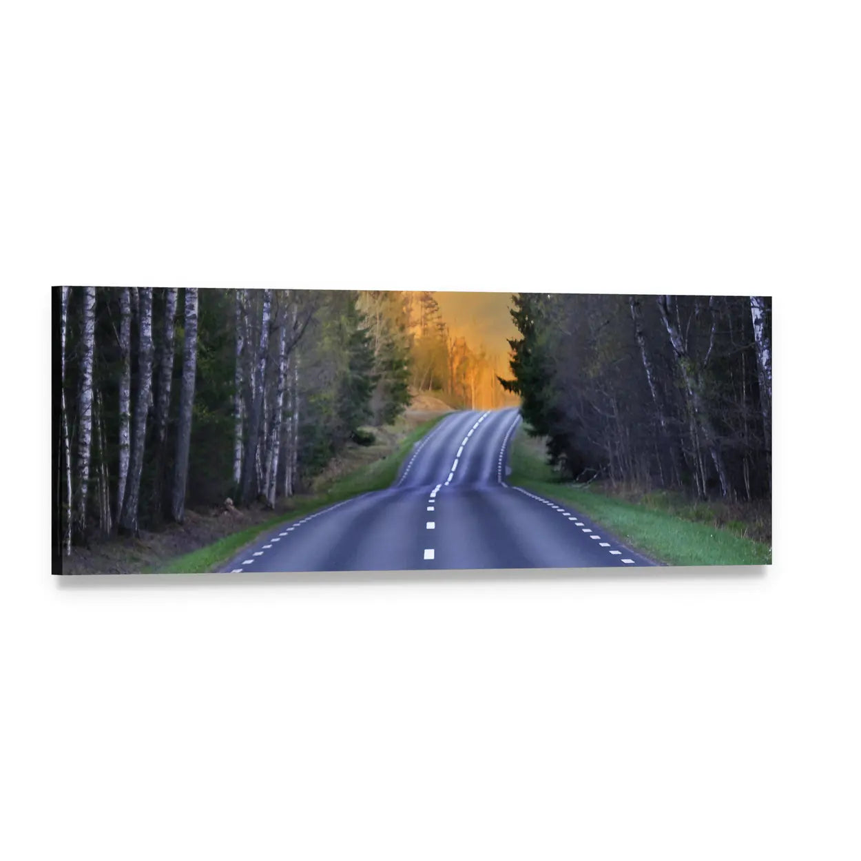 Swedish Birch Road at Golden Hour Panoramic Canvas Wall Art, single panel gallery wrapped canvas, angled product view