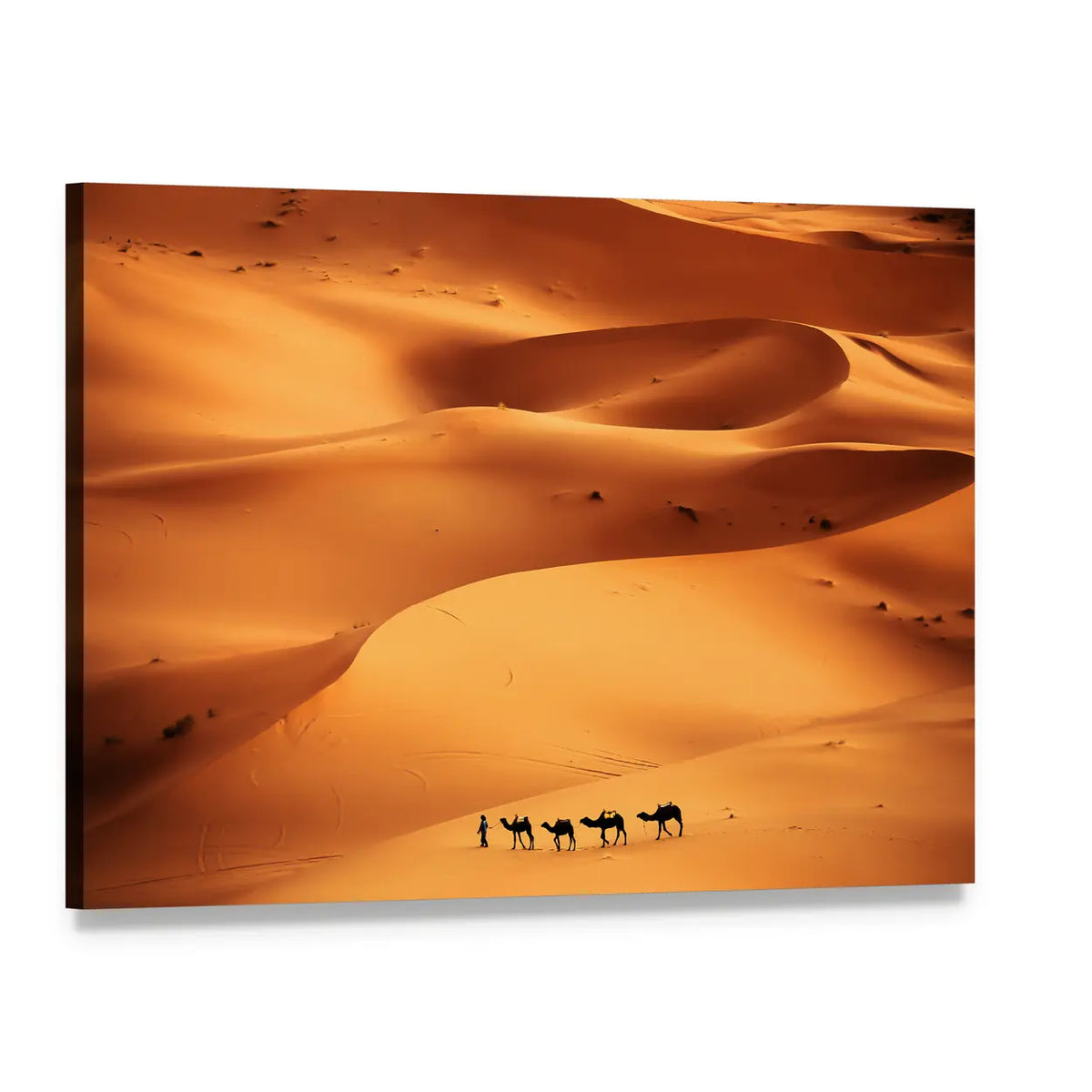 Camel Caravan Across Sahara Sand Dunes Canvas Wall Art, single panel gallery wrapped canvas, angled product view