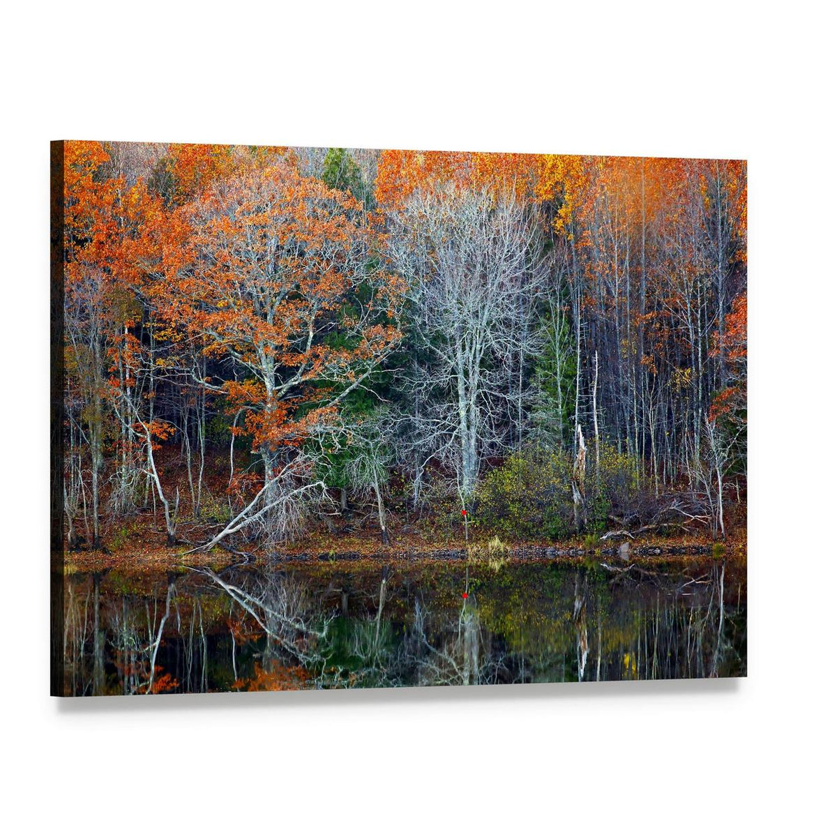 Reflections of Trees in Water Canvas Wall Art, single panel gallery wrapped canvas, angled product view