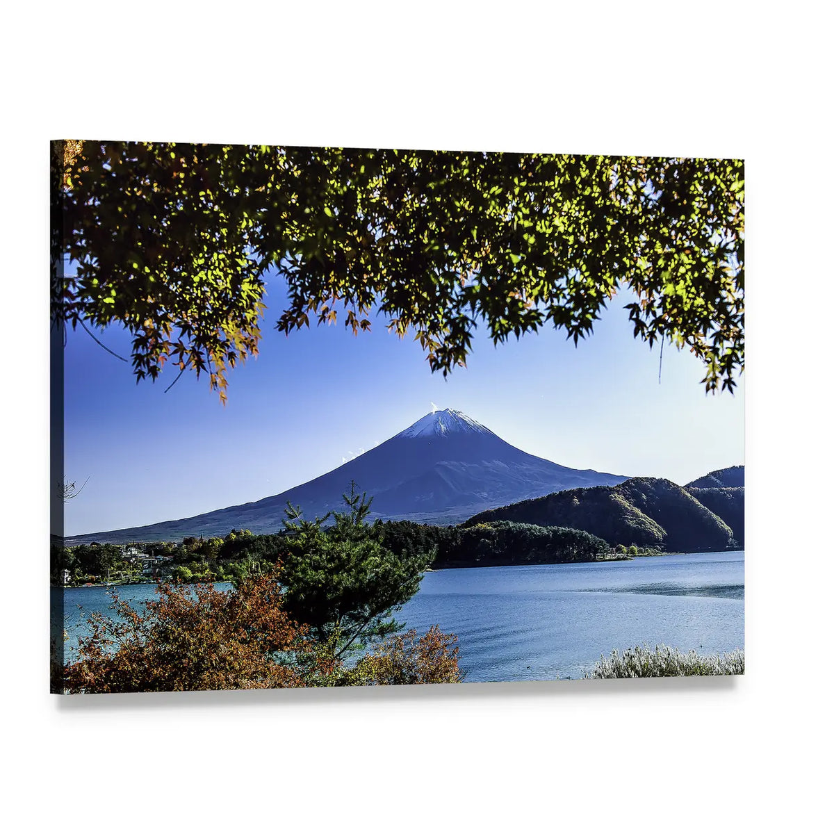 Mt Fuji in Autumn, Japan Canvas Wall Art, single panel gallery wrapped canvas, angled product view