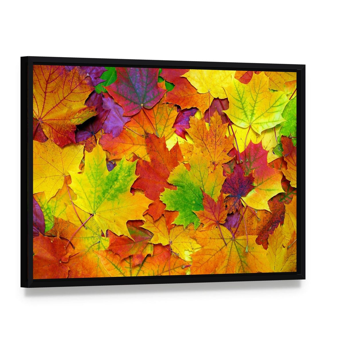 Colorful Leaves Canvas Wall Art, framed canvas in a black floater frame, angled product view