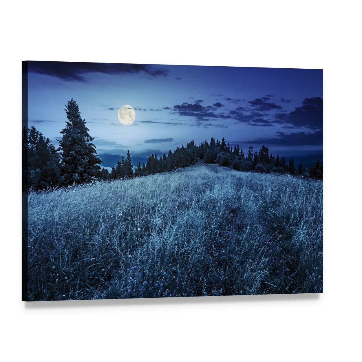 Meadow with Full Moon Canvas Wall Art, single panel gallery wrapped canvas, angled product view