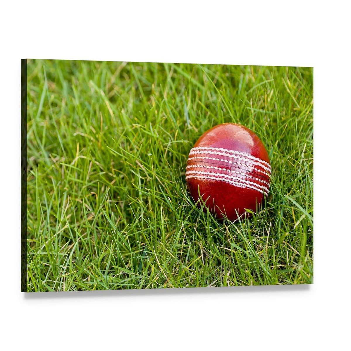 Cricket Ball Canvas Wall Art, single panel gallery wrapped canvas, angled product view