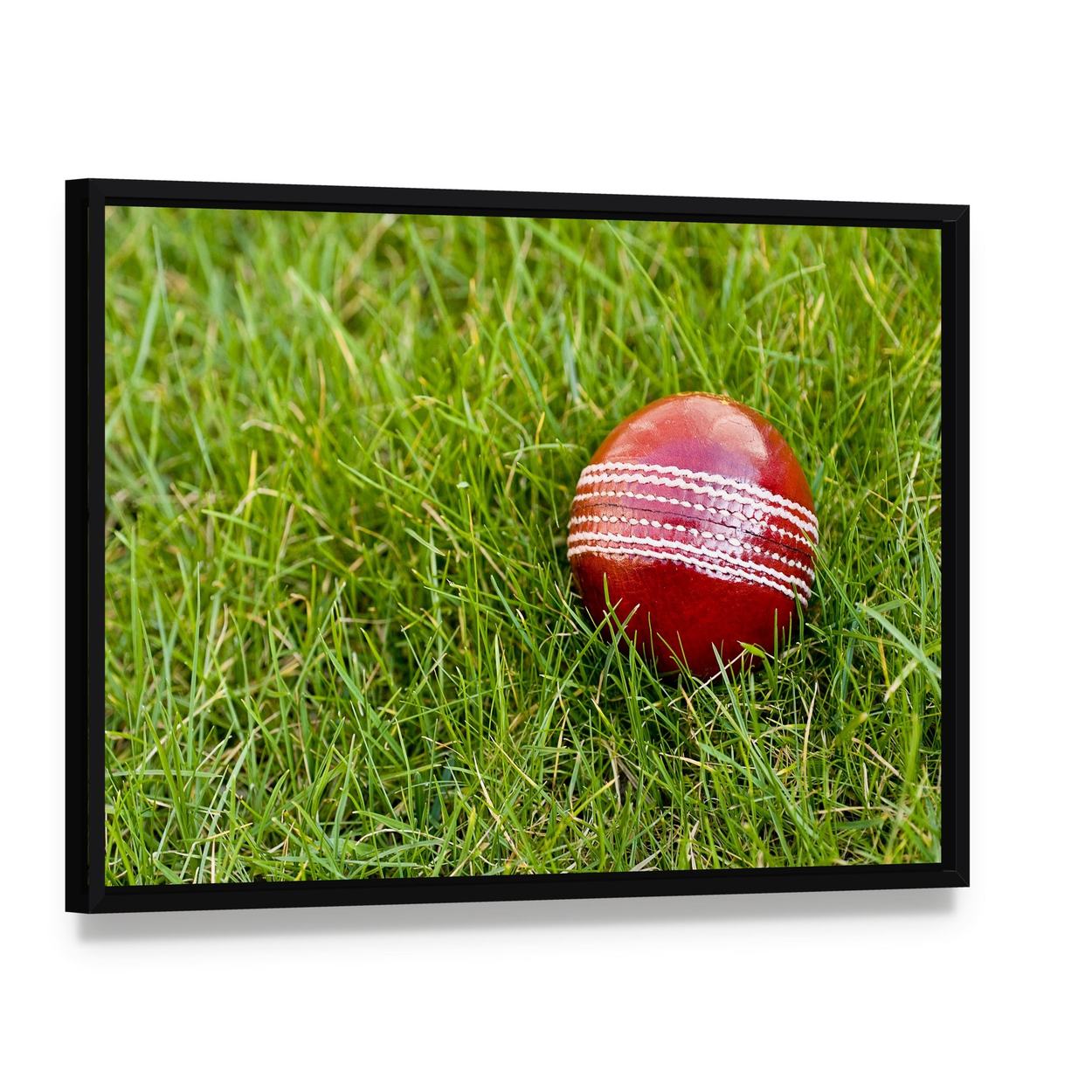 Cricket Ball Canvas Wall Art, framed canvas in a black floater frame, angled product view