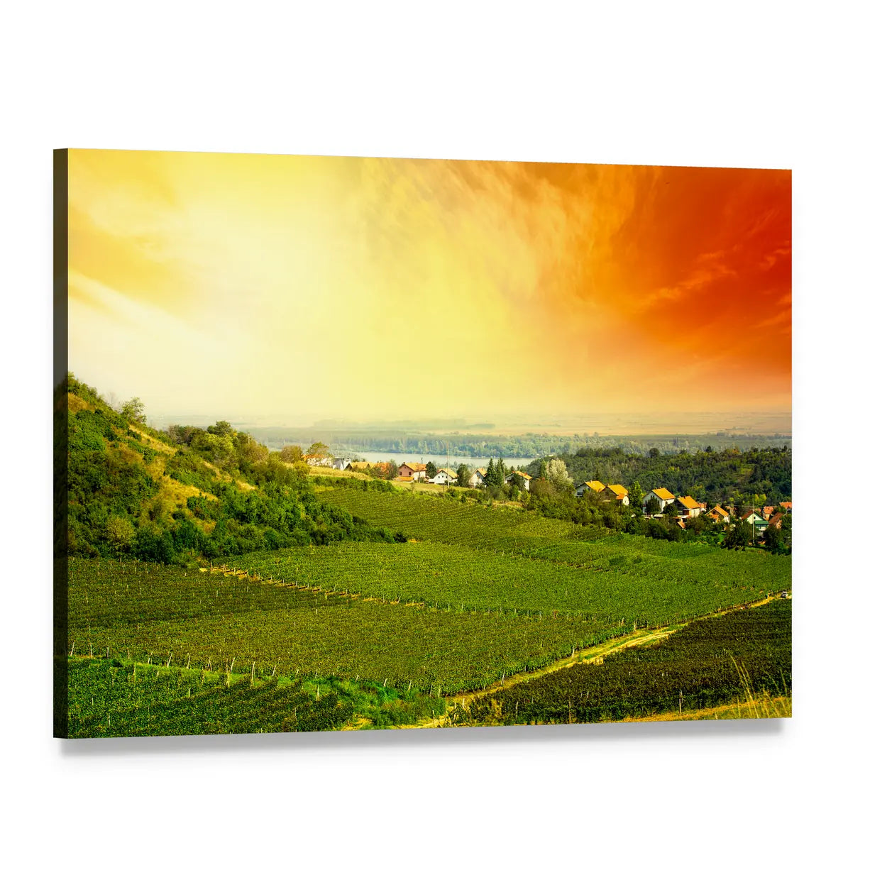 Vineyard View in Serbia Canvas Wall Art, single panel gallery wrapped canvas, angled product view