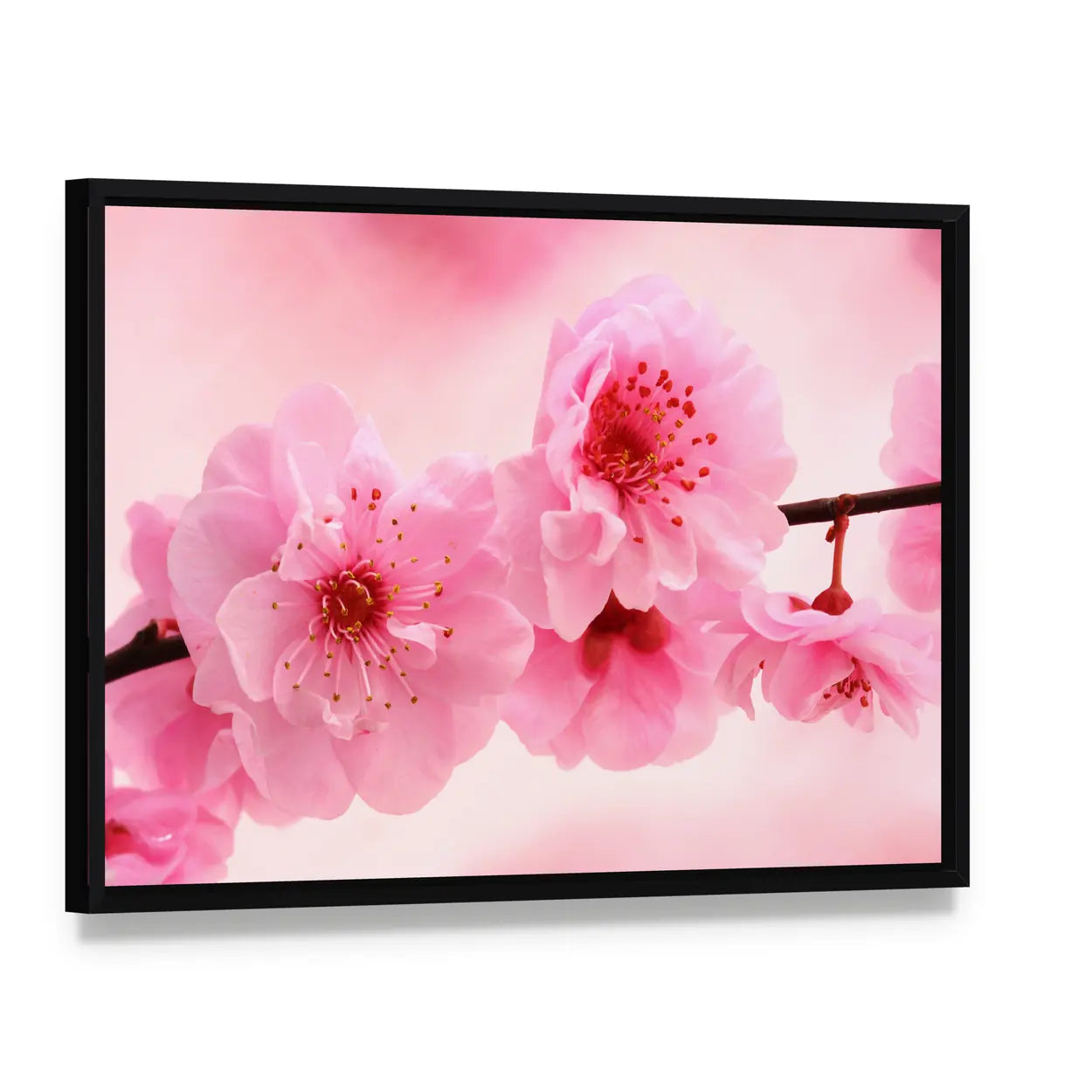 Pink Flowers In Spring Canvas Wall Art, framed canvas in a black floater frame, angled product view
