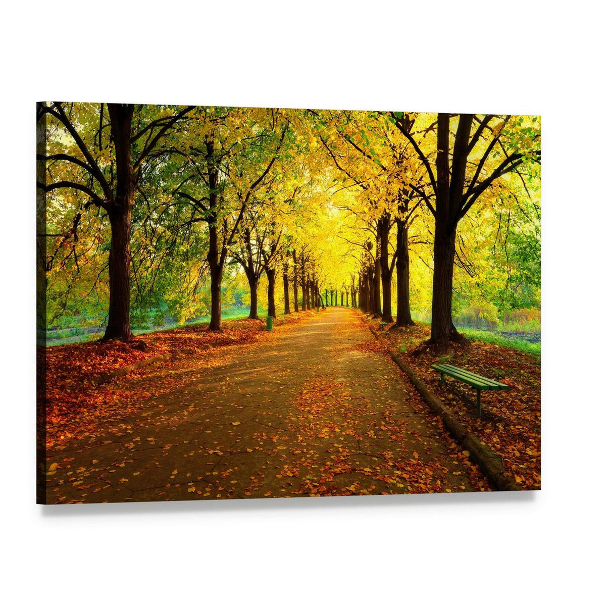 Autumn in City Park Canvas Wall Art, single panel gallery wrapped canvas, angled product view