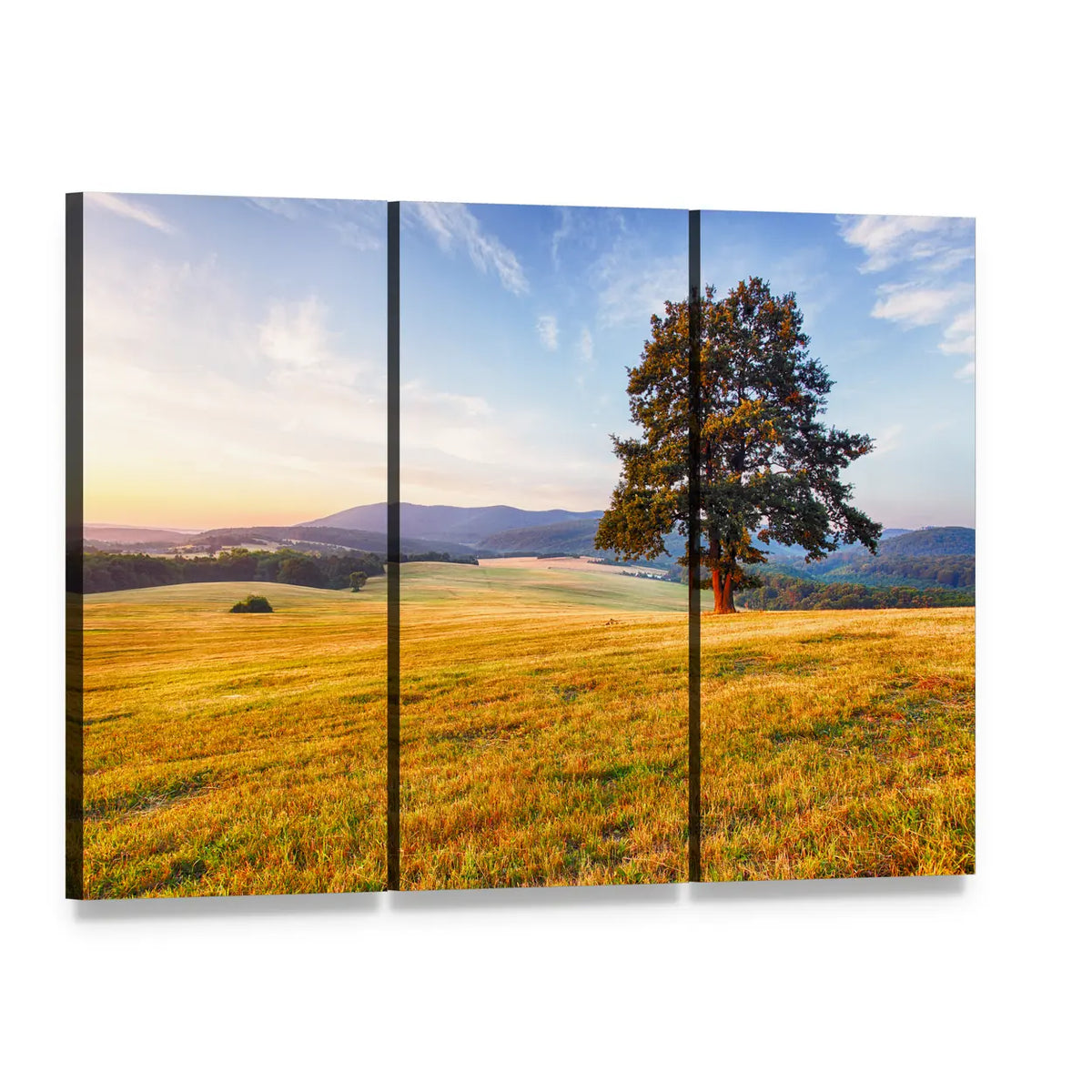 Spring Landscape with Lone Tree and Sun Canvas Wall Art, 3 panel 3 Horizontal layout gallery wrapped canvas set, angled product view