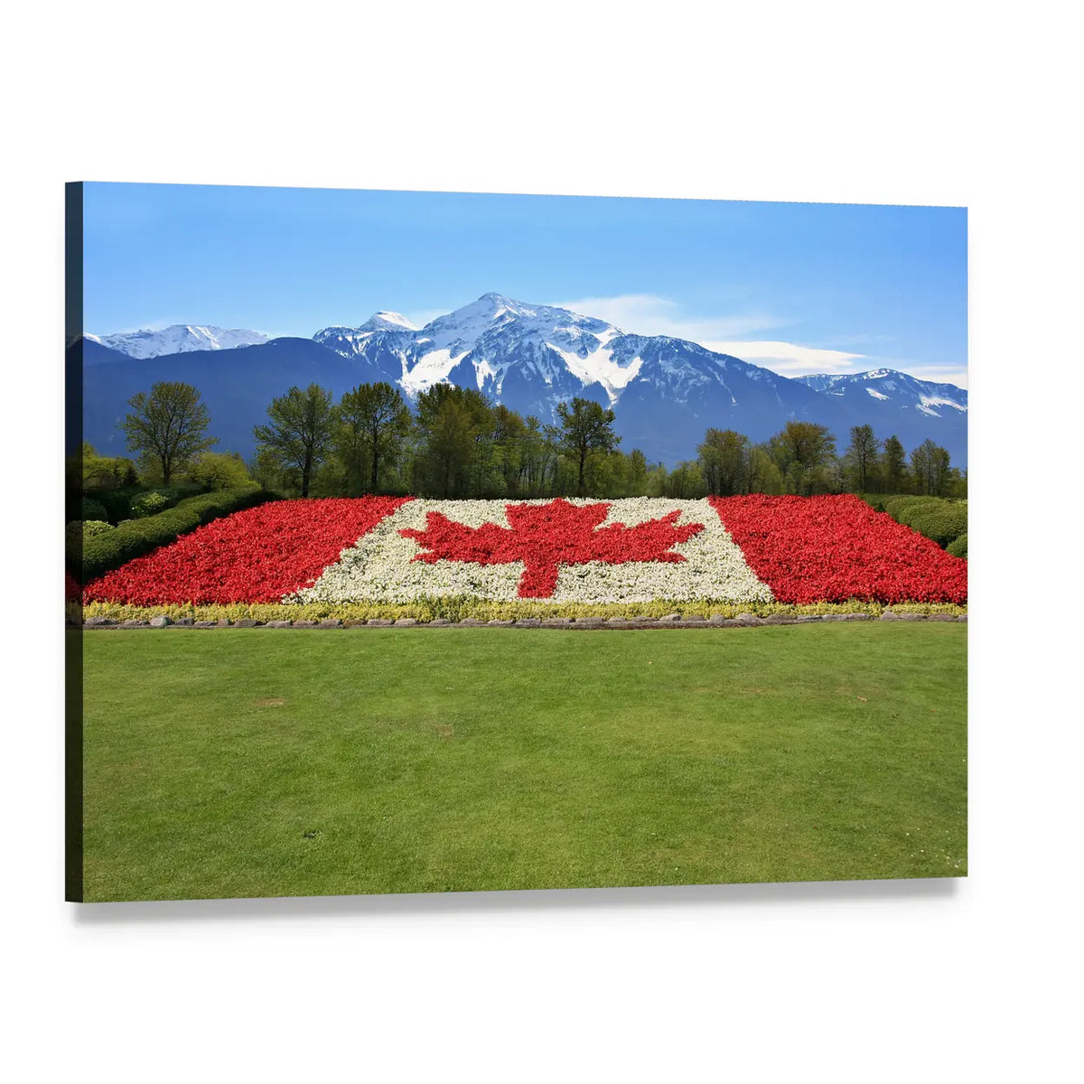 Canadian Flag Made of Flowers Canvas Wall Art, single panel gallery wrapped canvas, angled product view