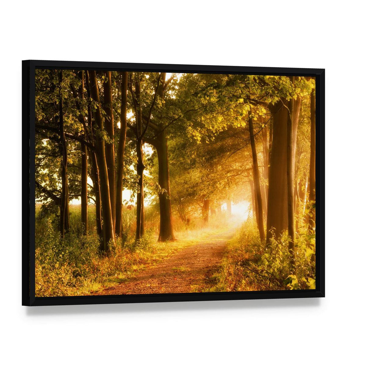 Misty Footpath in Autumn Forest Canvas Wall Art, framed canvas in a black floater frame, angled product view