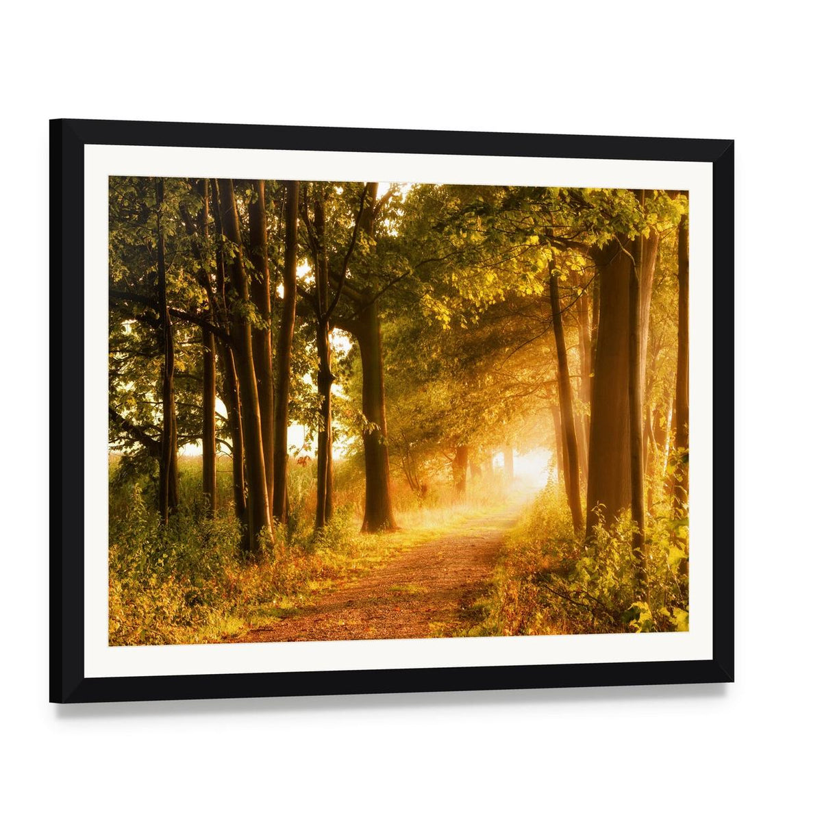 Misty Footpath in Autumn Forest Canvas Wall Art, framed print with white mat and black frame, angled product view