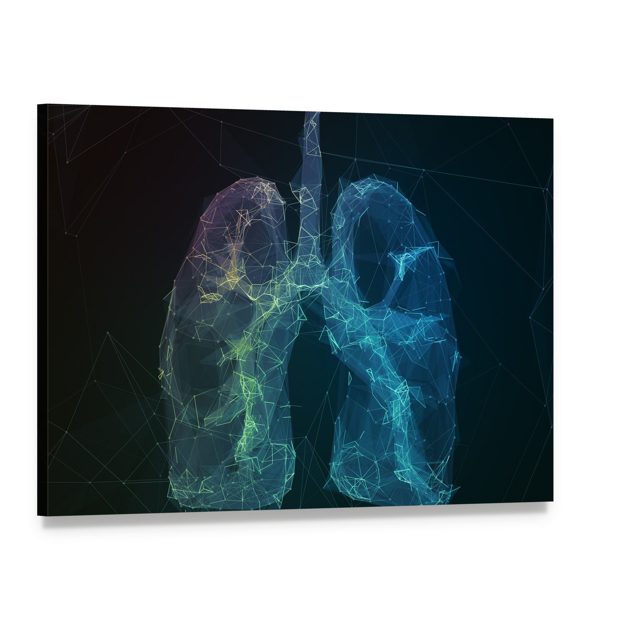 Wireframe Human Lungs Digital Canvas Wall Art, single panel gallery wrapped canvas, angled product view