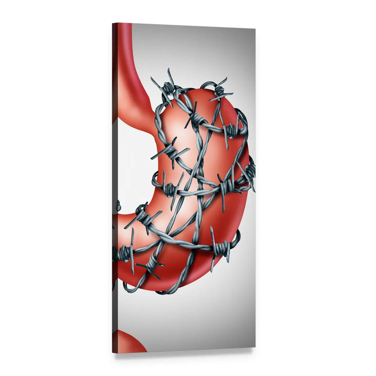 Barbed Wire Stomach Illustration Vertical Canvas Wall Art, 1 panel 1 Vertical layout gallery wrapped canvas set, angled product view