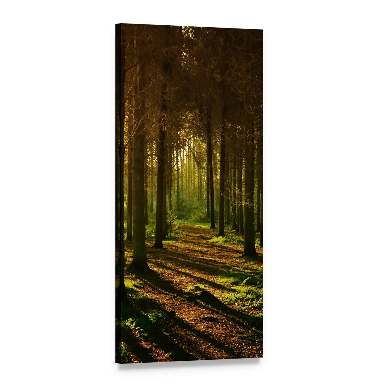 Sunlit Forest Path Vertical Canvas Wall Art, 1 panel 1 Vertical layout gallery wrapped canvas set, angled product view