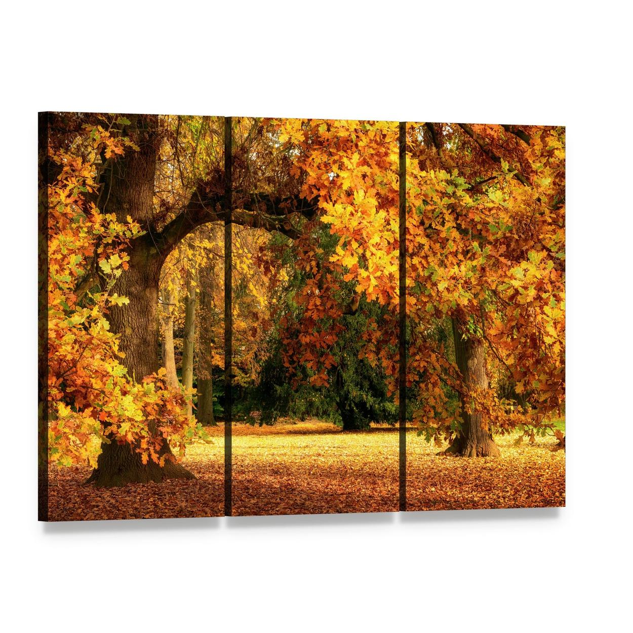 Magnificent Oak Tree with Vibrant Autumn Foliage Canvas Wall Art, 3 panel 3 Horizontal layout gallery wrapped canvas set, angled product view