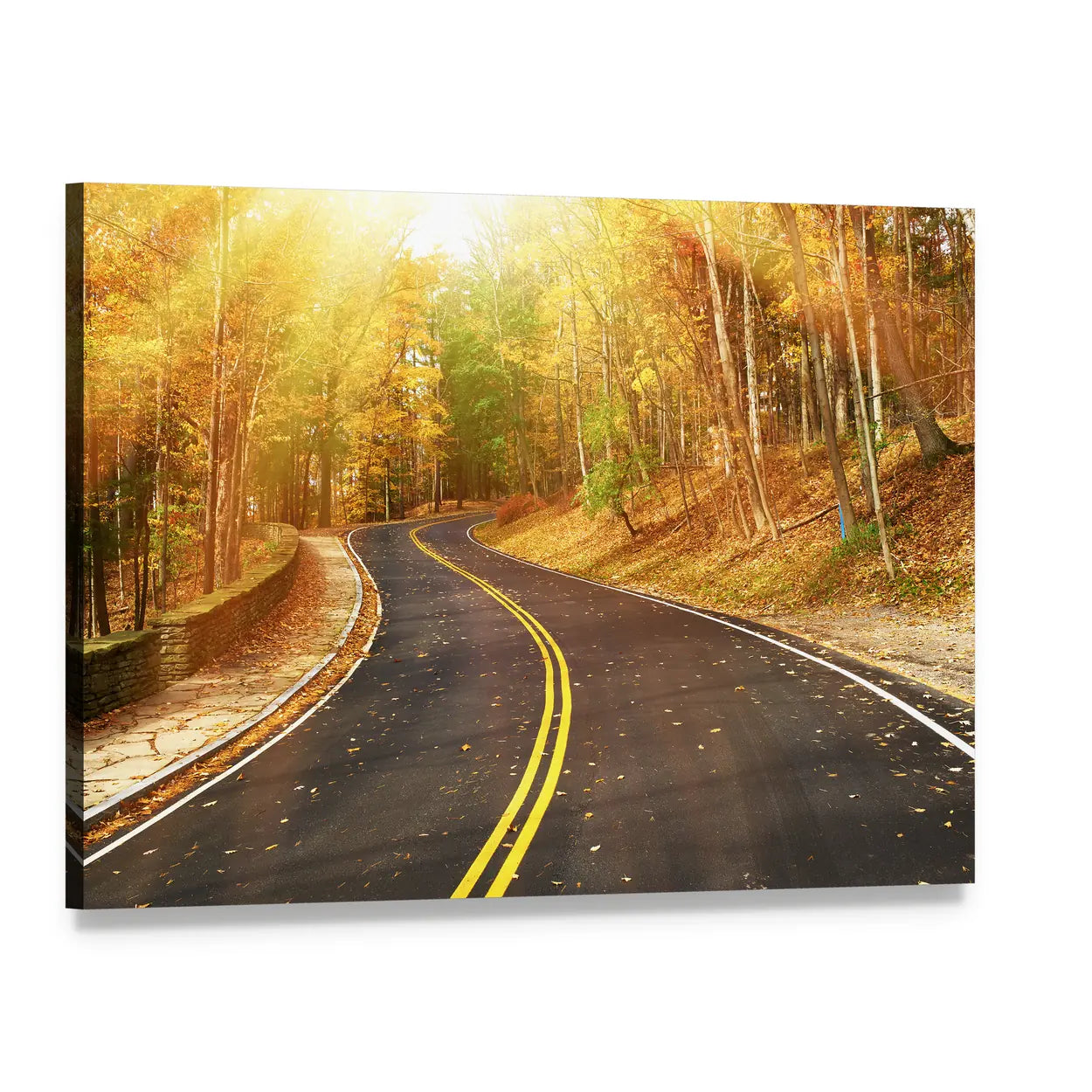 Autumn Road Through Sunlit Trees Canvas Wall Art, single panel gallery wrapped canvas, angled product view