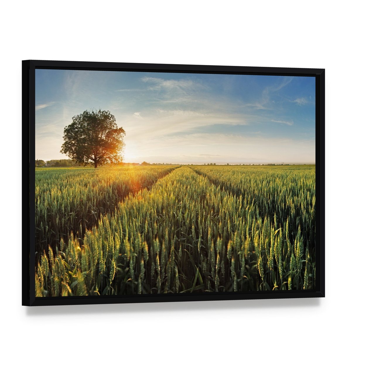 Wheat Field at Sunset Canvas Wall Art, framed canvas in a black floater frame, angled product view
