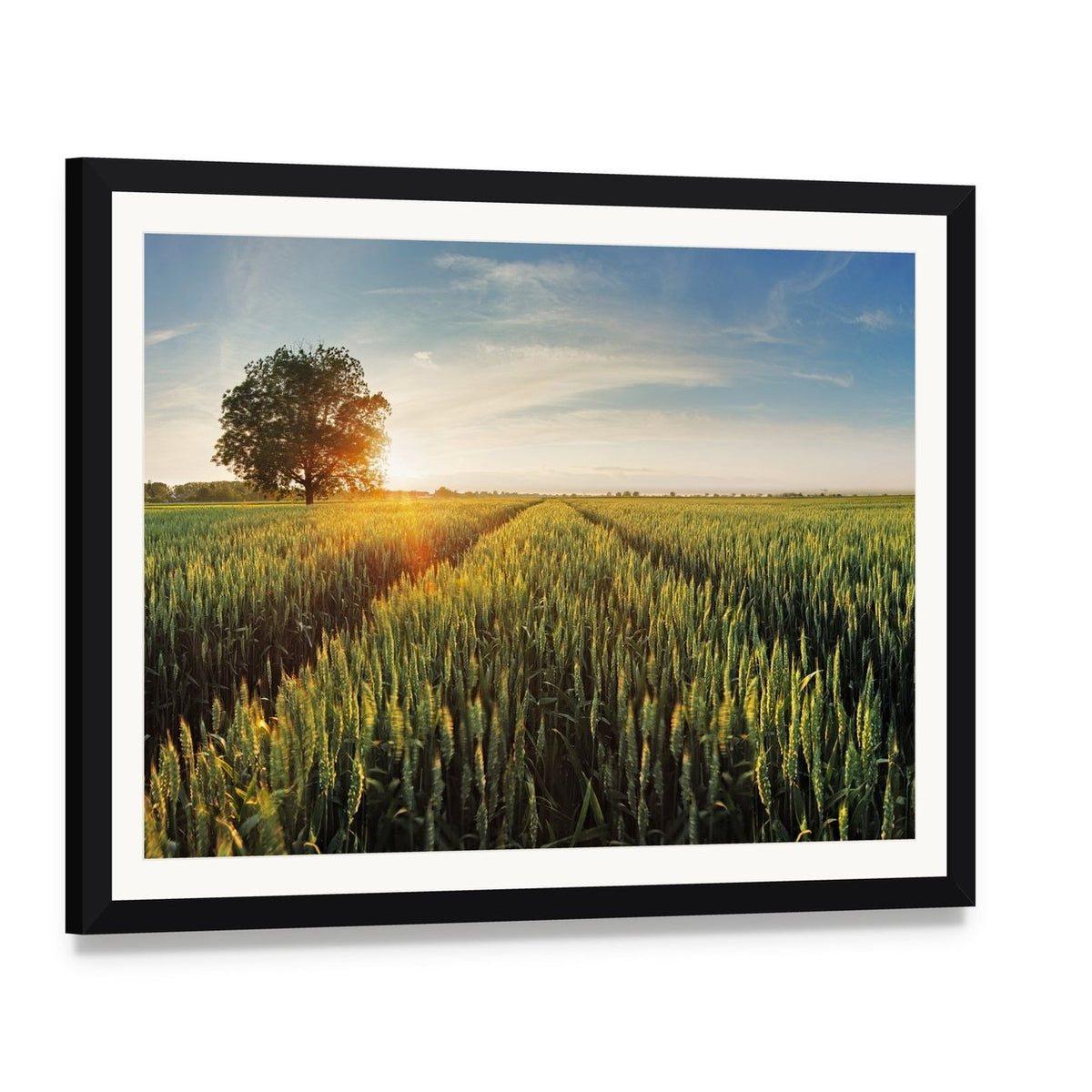 Wheat Field at Sunset Canvas Wall Art, framed print with white mat and black frame, angled product view