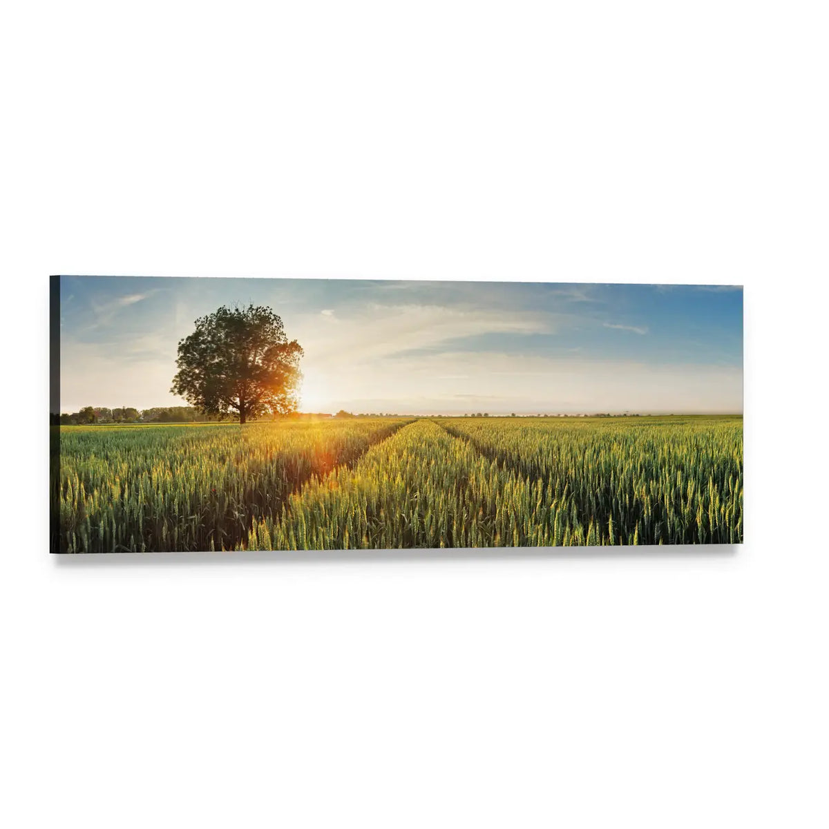 Wheat Field at Sunrise Panoramic Canvas Wall Art, single panel gallery wrapped canvas, angled product view