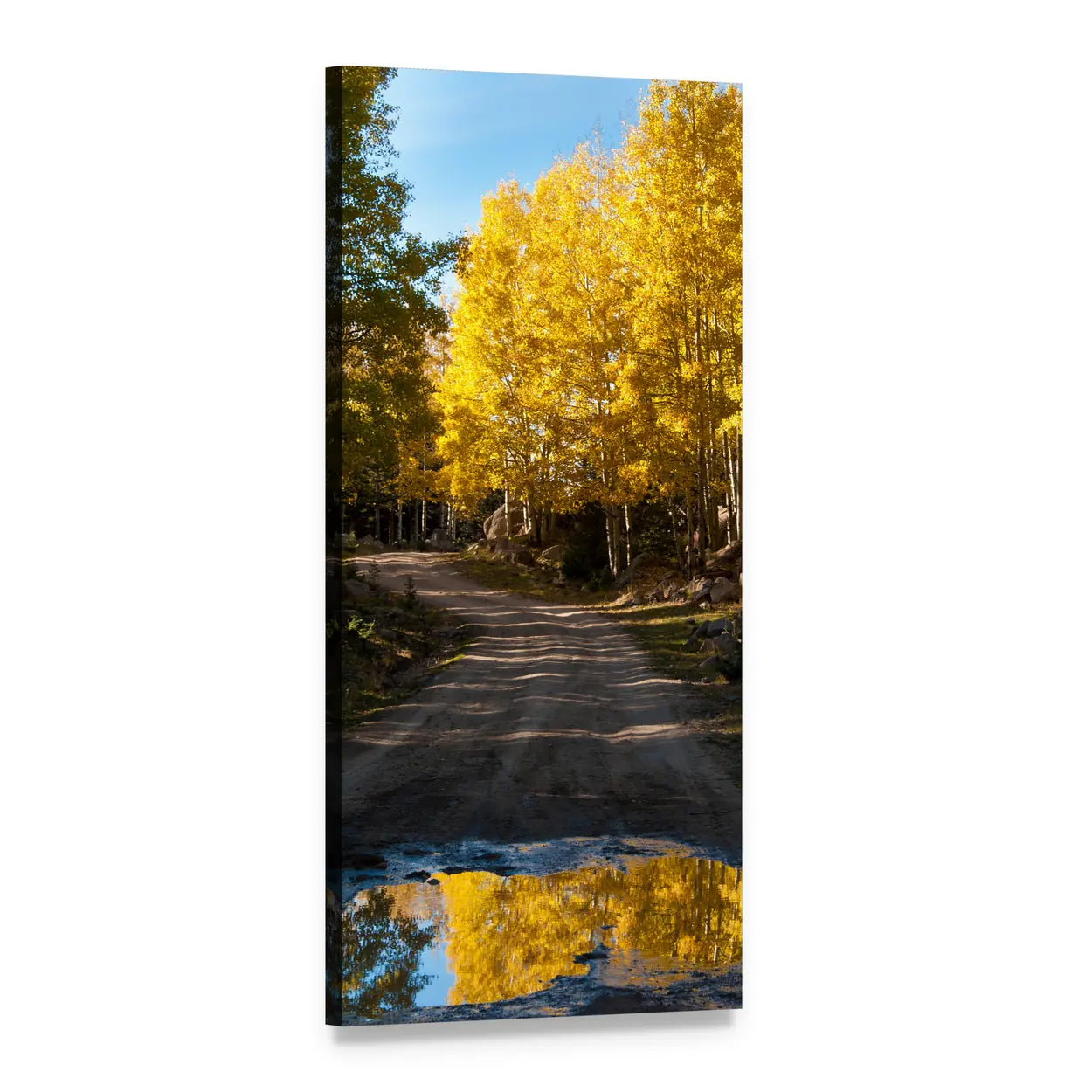 Autumn Dirt Road with Puddle Reflection Vertical Canvas Wall Art, 1 panel 1 Vertical layout gallery wrapped canvas set, angled product view