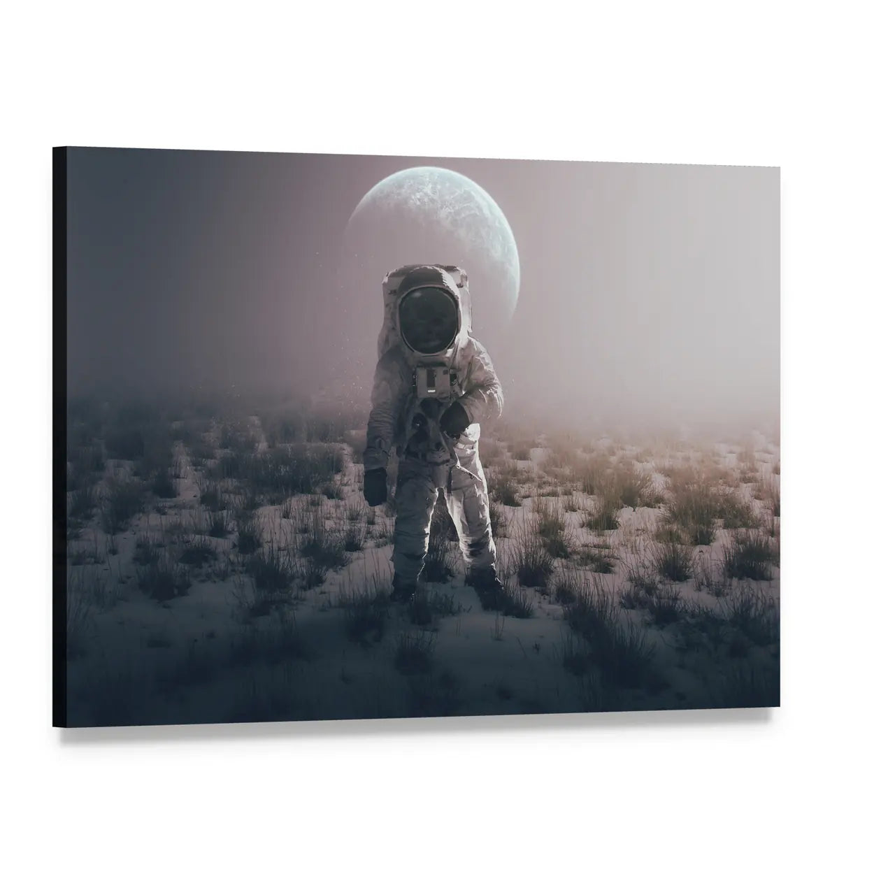 Astronaut in Alien World Canvas Wall Art, single panel gallery wrapped canvas, angled product view