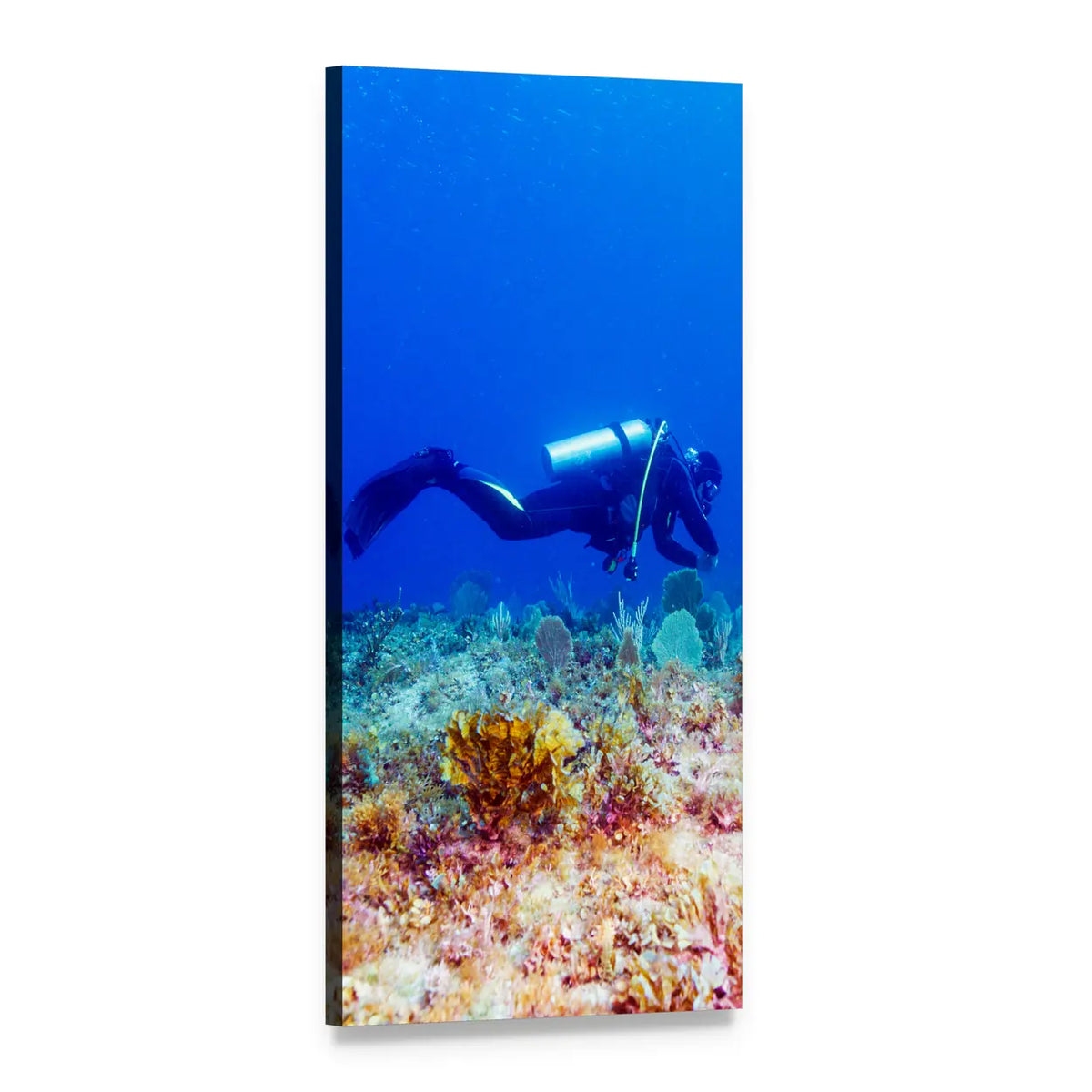 Scuba Diver Above Vibrant Coral Reef Vertical Canvas Wall Art, 1 panel 1 Vertical layout gallery wrapped canvas set, angled product view