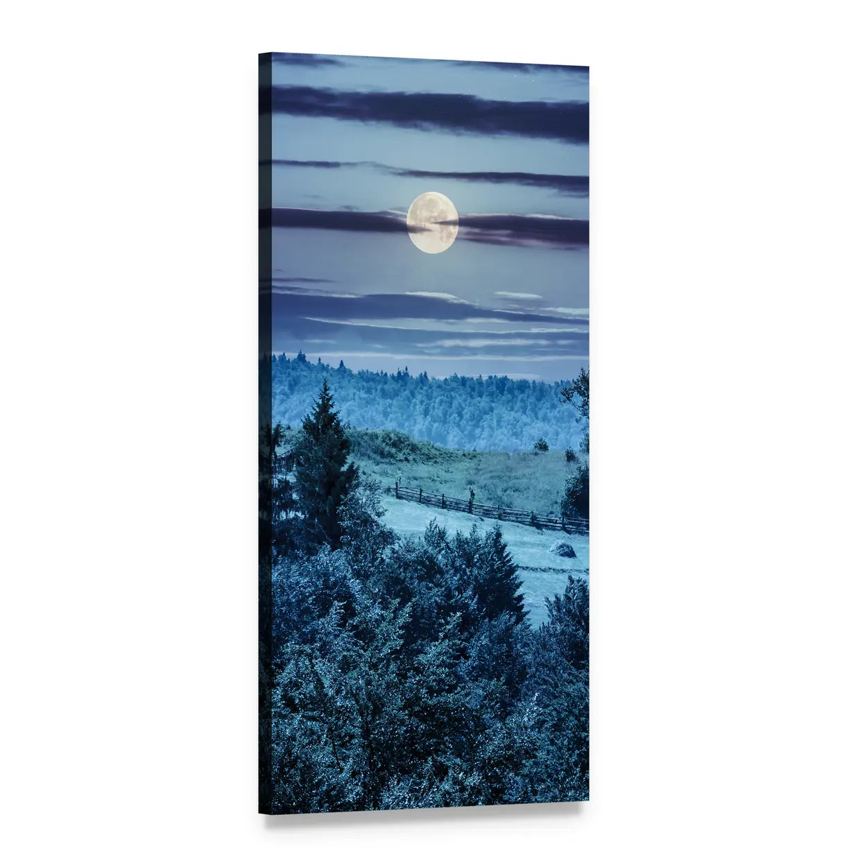 Moonlit Hillside Meadow Vertical Canvas Wall Art, 1 panel 1 Vertical layout gallery wrapped canvas set, angled product view
