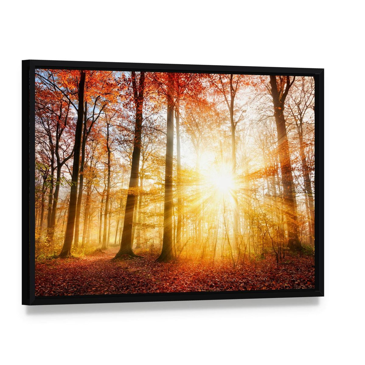 Warm Autumn Scenery in a Forest with Sun Rays Canvas Wall Art, framed canvas in a black floater frame, angled product view