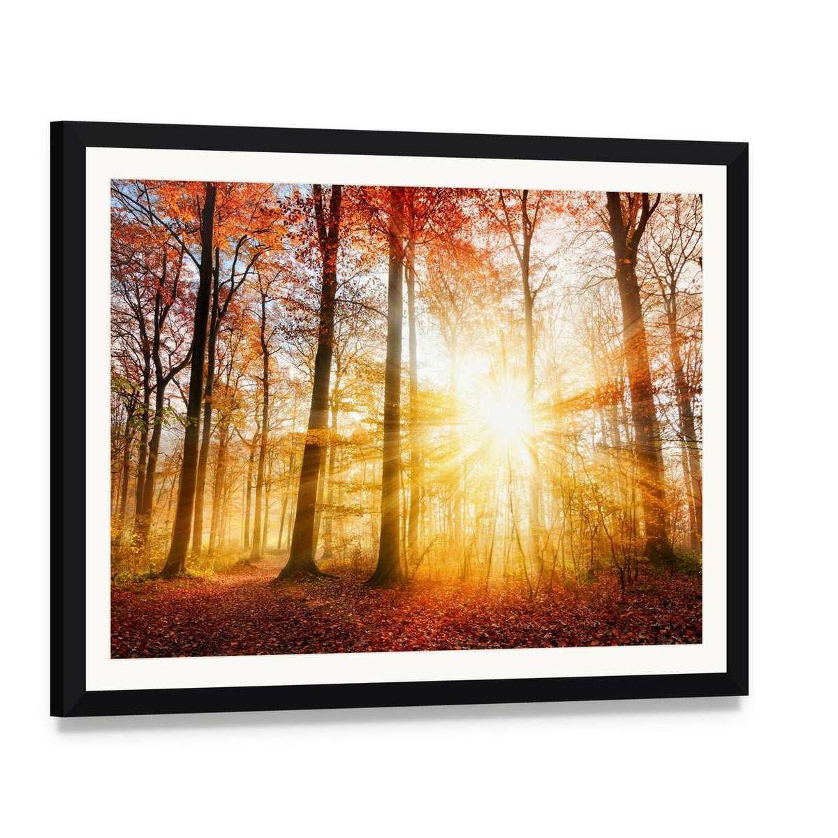 Warm Autumn Scenery in a Forest with Sun Rays Canvas Wall Art, framed print with white mat and black frame, angled product view