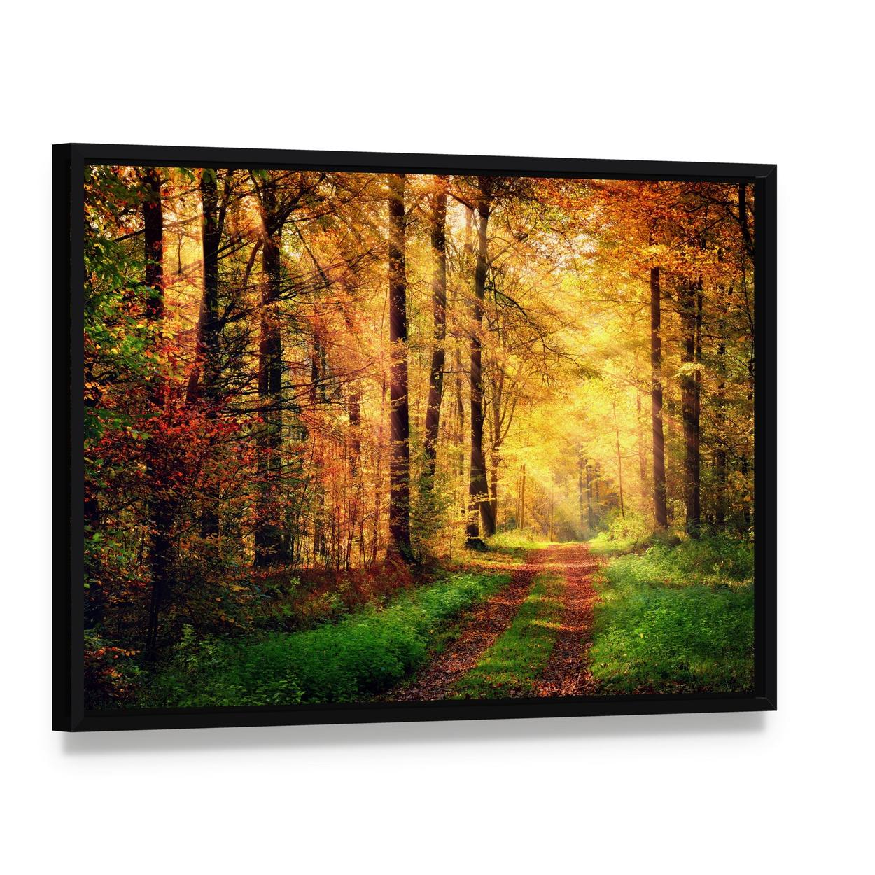 Autumn Forest Pathway Canvas Wall Art, framed canvas in a black floater frame, angled product view