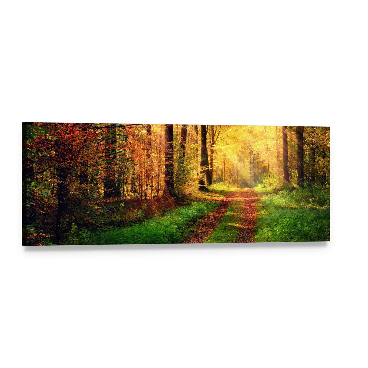 Sunlit Autumn Forest Pathway Panoramic Canvas Wall Art, single panel gallery wrapped canvas, angled product view