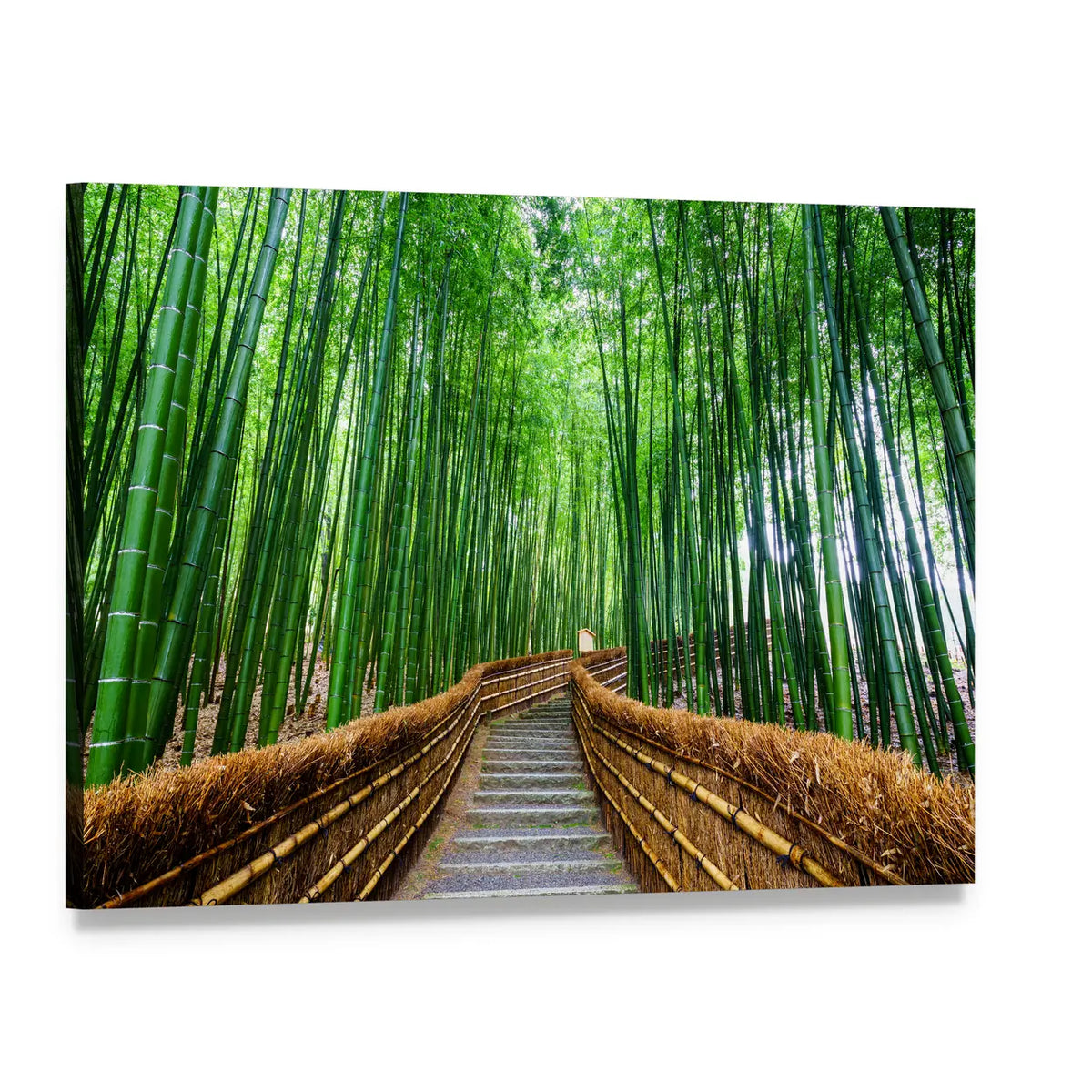 Path to Bamboo Forest Canvas Wall Art, single panel gallery wrapped canvas, angled product view