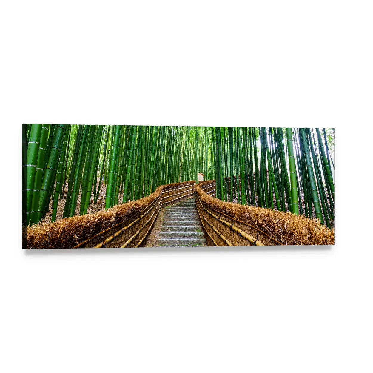 Stone Steps Through Bamboo Forest Panoramic Canvas Wall Art, single panel gallery wrapped canvas, angled product view