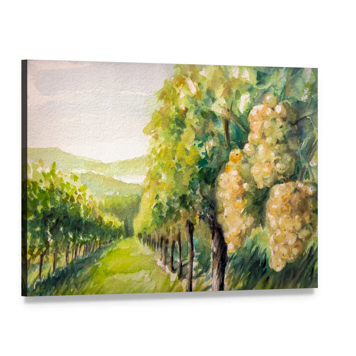 Sunlit Watercolor Vineyard Canvas Wall Art, single panel gallery wrapped canvas, angled product view