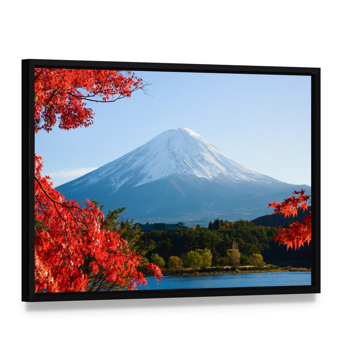 Mount Fuji in Autumn Canvas Wall Art, framed canvas in a black floater frame, angled product view