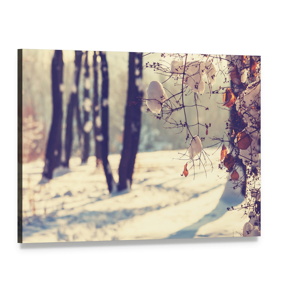 Winter Scene with Snow-covered Trees Canvas Wall Art, single panel gallery wrapped canvas, angled product view