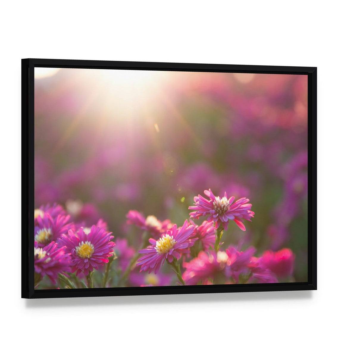 Pink Daisy Canvas Wall Art, framed canvas in a black floater frame, angled product view