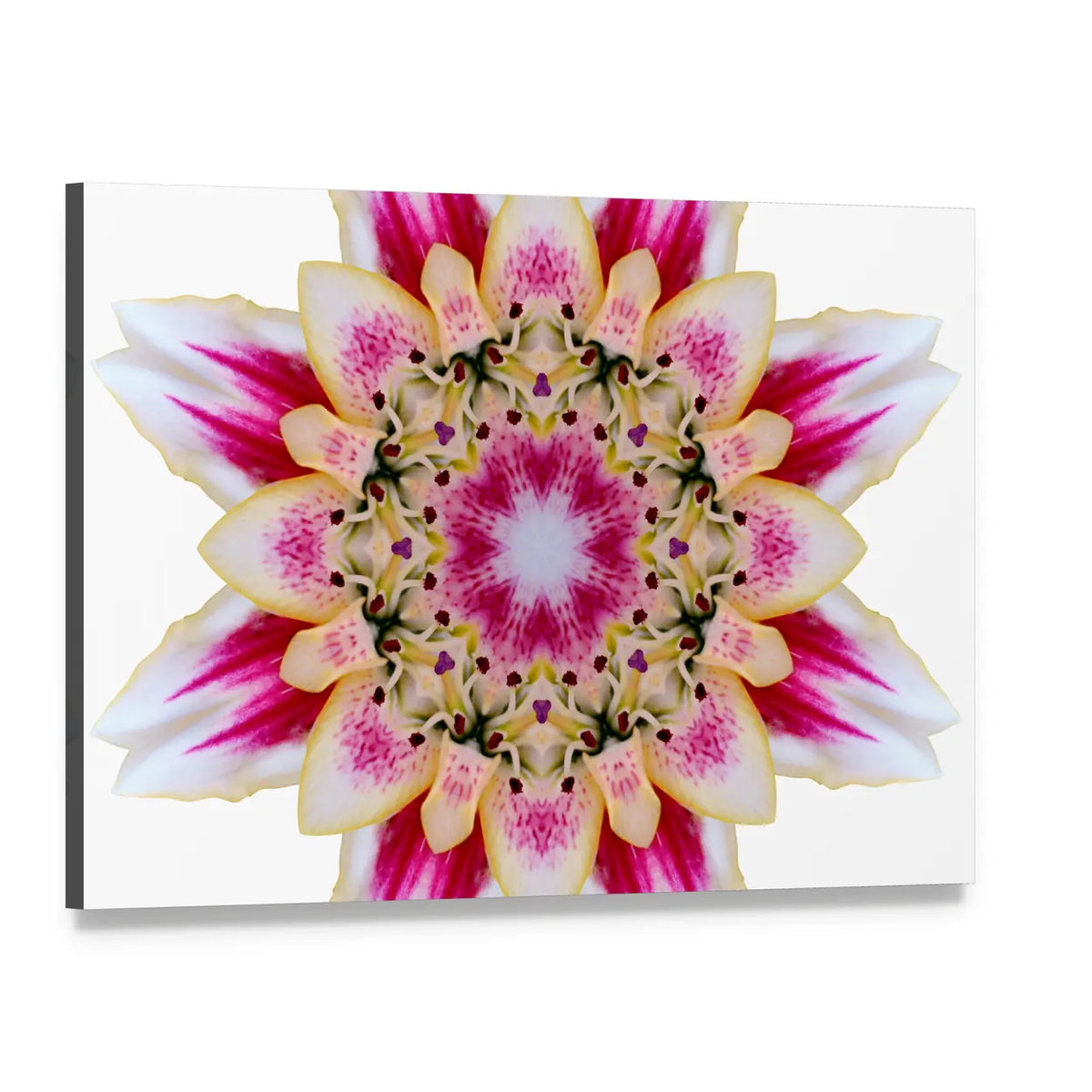 Scenic Flower Mandala Canvas Wall Art, single panel gallery wrapped canvas, angled product view