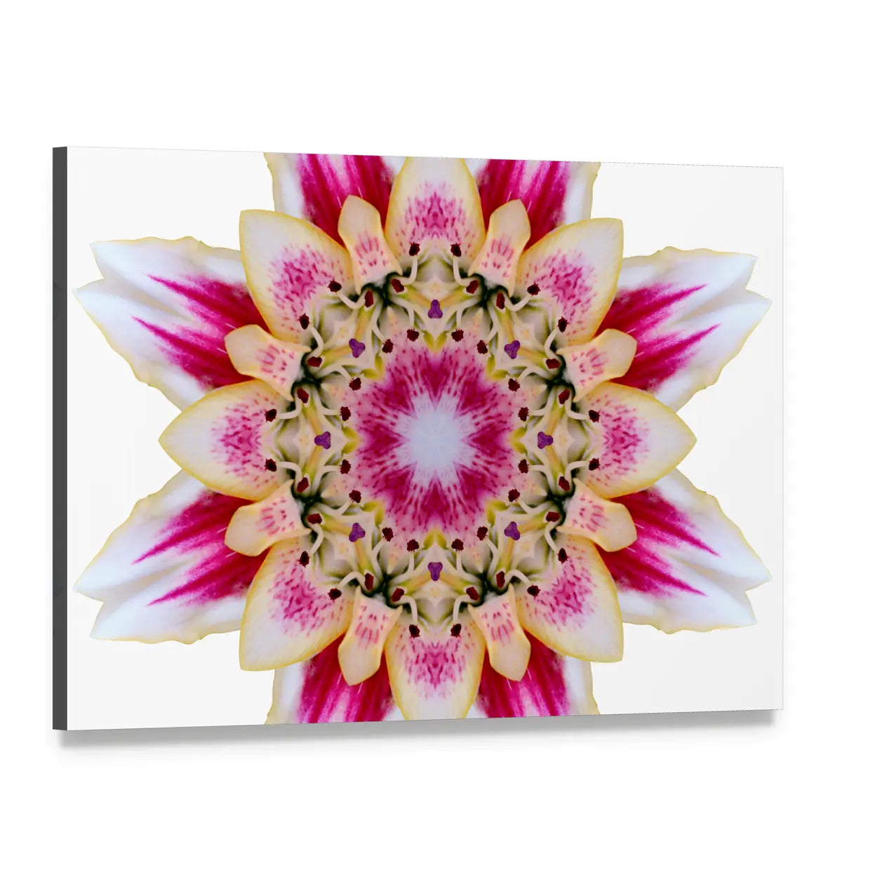 Scenic Flower Mandala Canvas Wall Art, single panel gallery wrapped canvas, angled product view