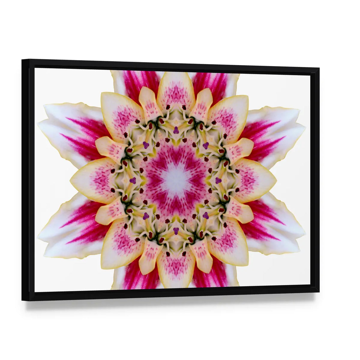 Scenic Flower Mandala Canvas Wall Art, framed canvas in a black floater frame, angled product view