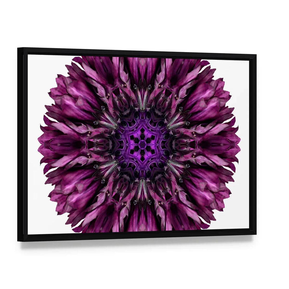 Purple Cornflower Mandala Canvas Wall Art, framed canvas in a black floater frame, angled product view