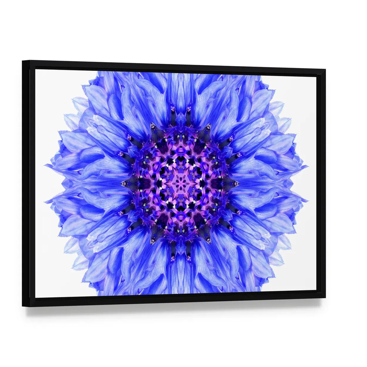 Blue Cornflower Mandala Canvas Wall Art, framed canvas in a black floater frame, angled product view
