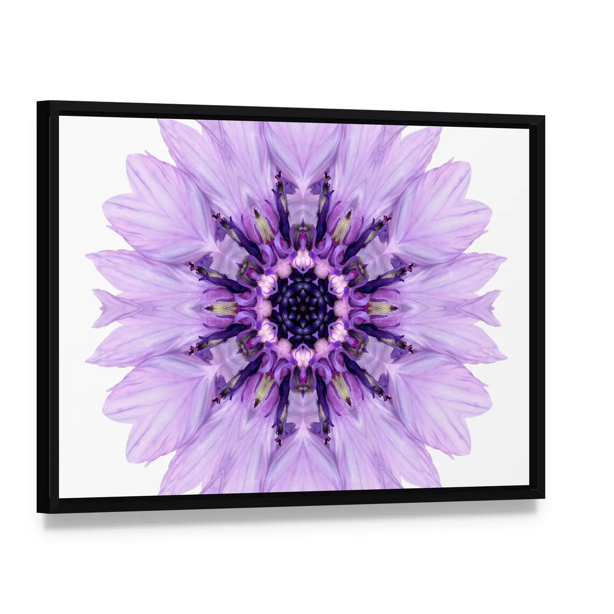 Purple Cornflower Mandala Canvas Wall Art, framed canvas in a black floater frame, angled product view
