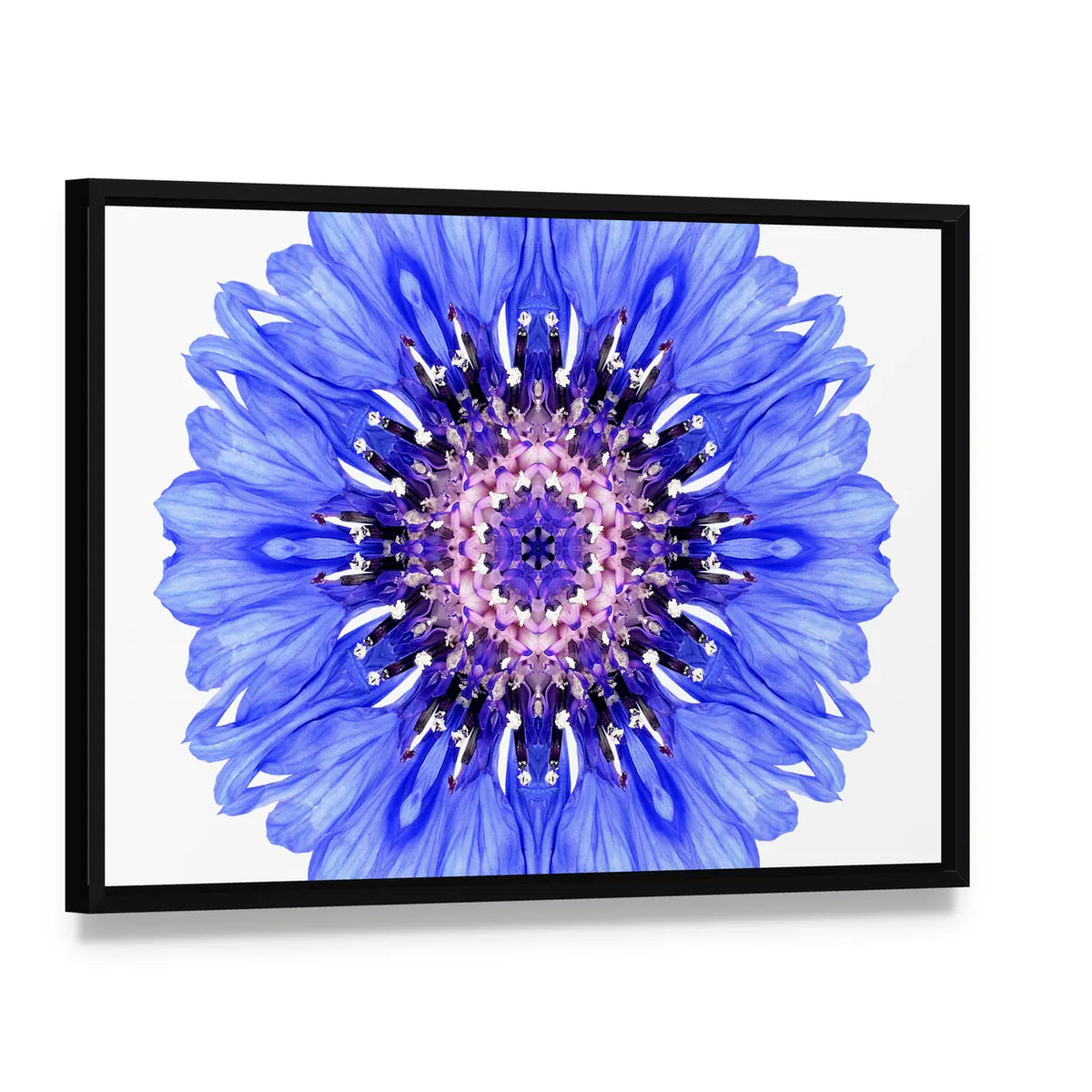 Blue Cornflower Mandala Canvas Wall Art, framed canvas in a black floater frame, angled product view