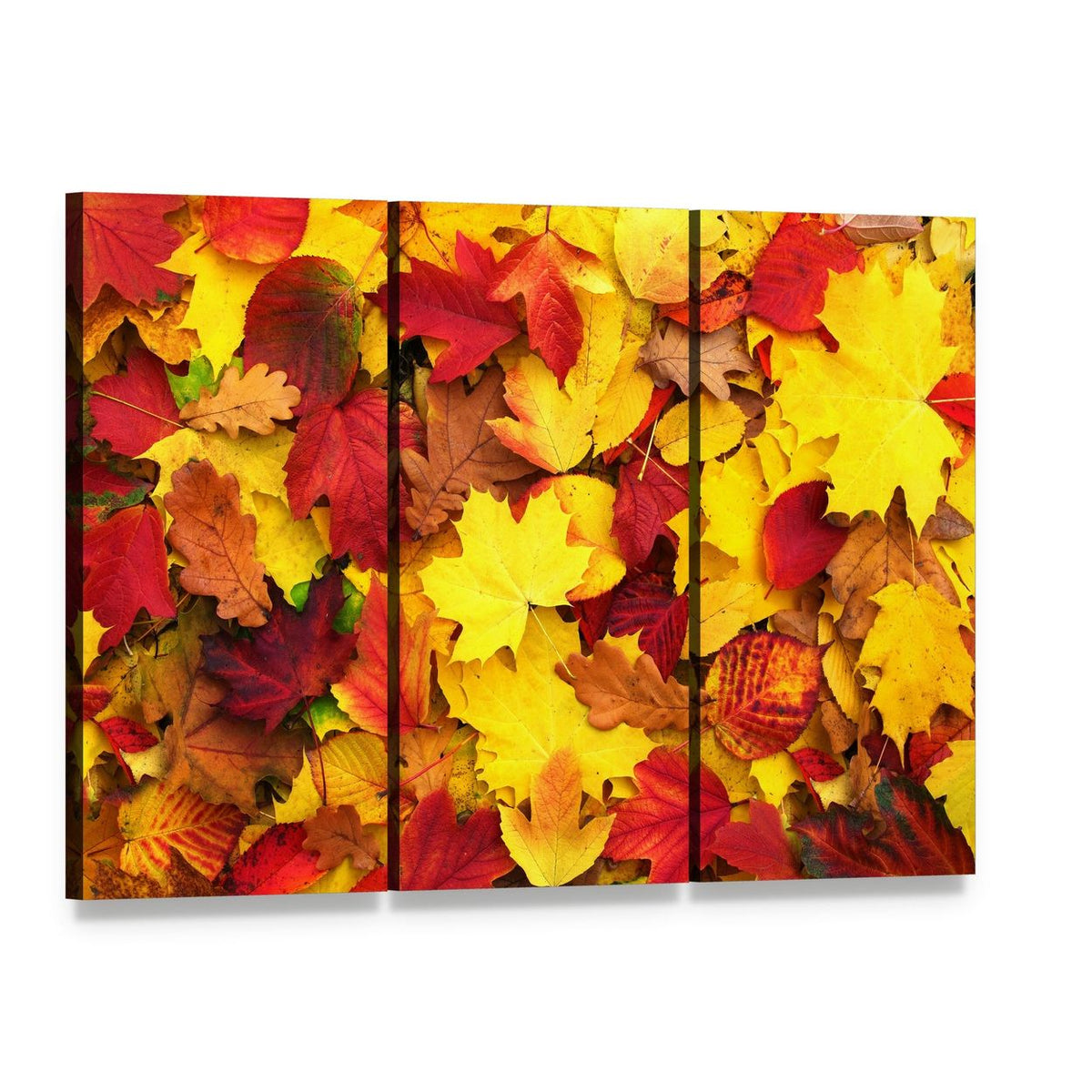 Fallen Autumn Leaves Canvas Wall Art, 3 panel 3 Horizontal layout gallery wrapped canvas set, angled product view