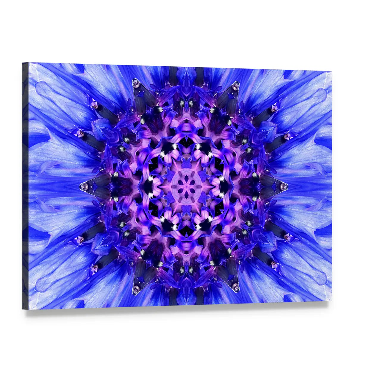 Blue Mandala Flower Canvas Wall Art, single panel gallery wrapped canvas, angled product view
